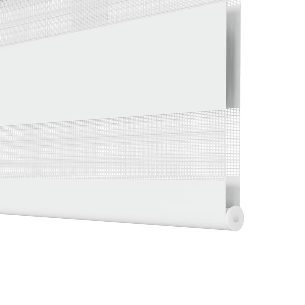 Zebra Double Roller Blind, Day and Night Light Control