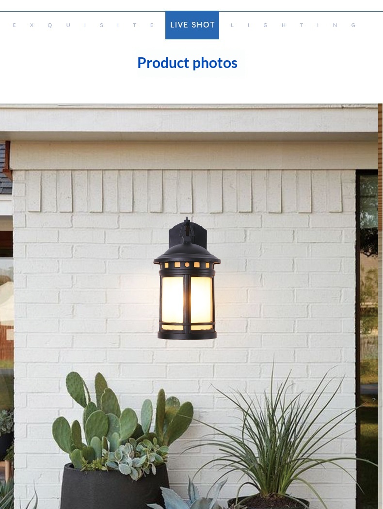 Retro Outdoor Wall Light photo 12
