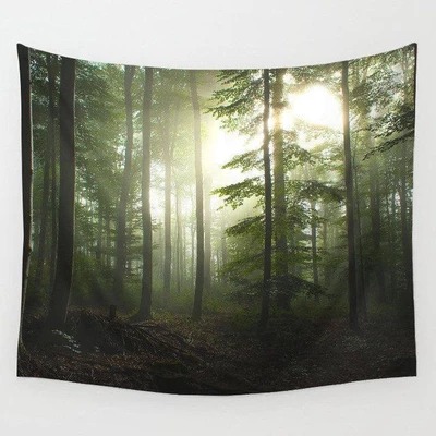 Printed Wall Tapestry, Mountain Dawn Scene
